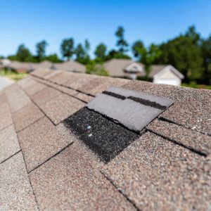 Example of damaged shingle