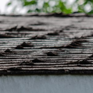 Curled shingles