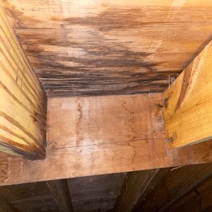 Moisture stain in attic