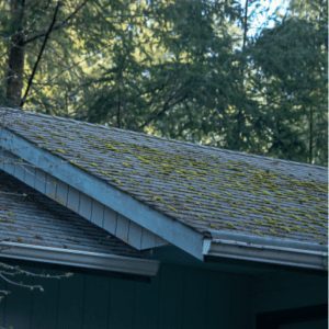 Example of moss growing on roof