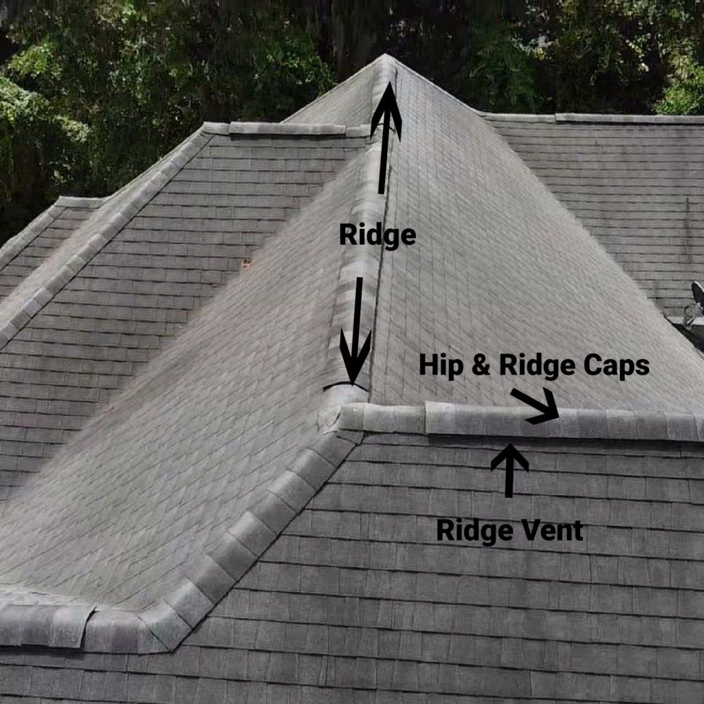 Ridge