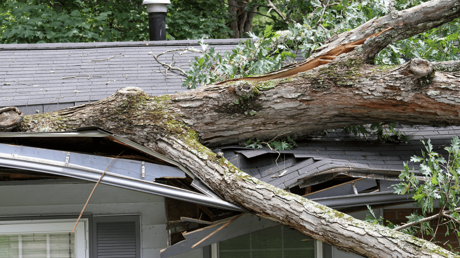 Storm chaser cover photo