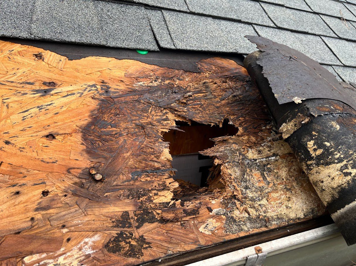 DIY vs professional roof repair pros and cons explained