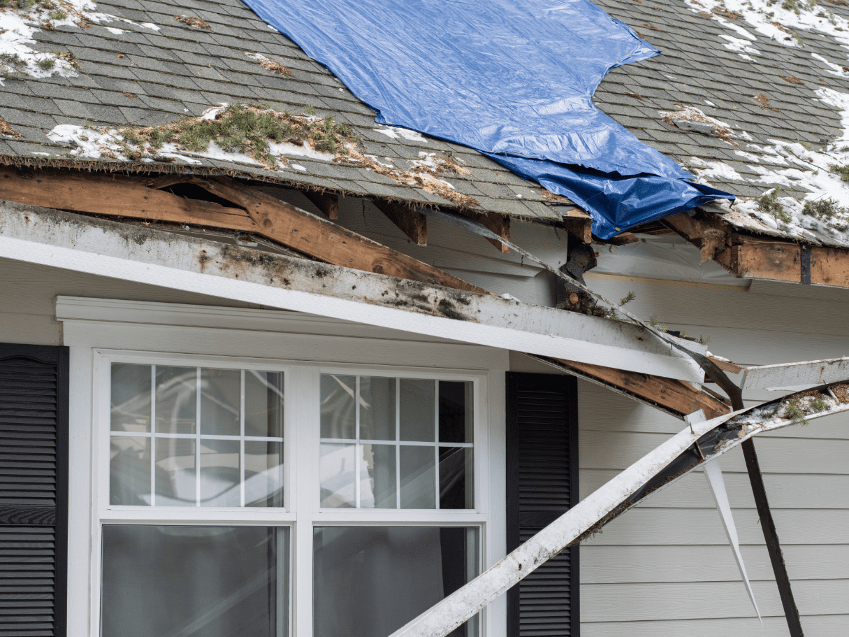 roofing company Effingham County GA