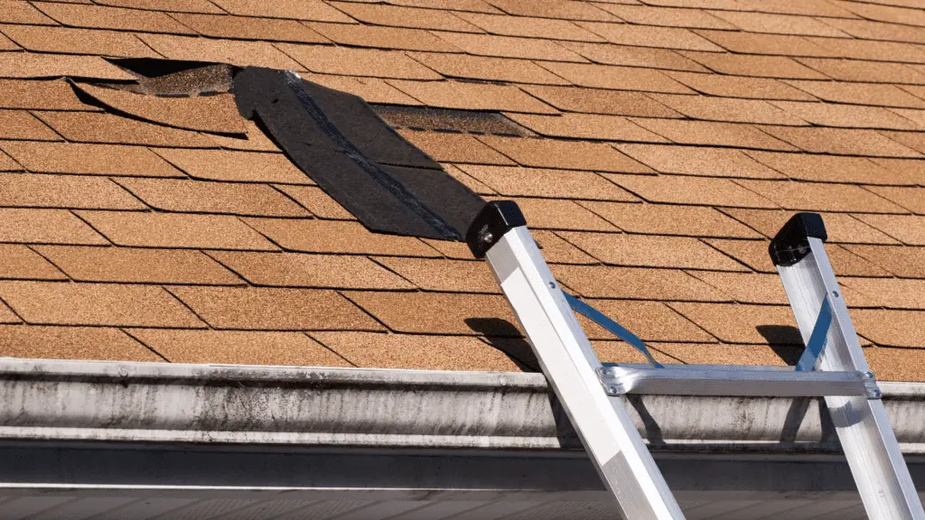 DIY vs professional roof repair pros and cons explained