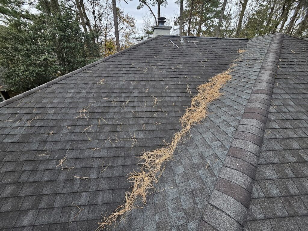 Roof inspection by a roofing contractor in Bryan County GA